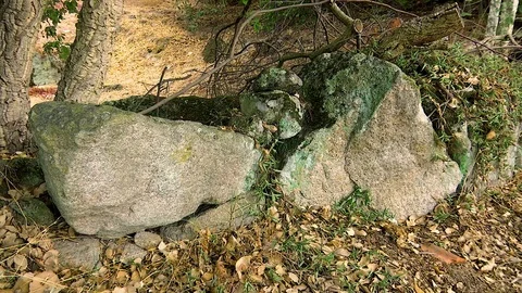 Stones Mountain Stock Footage 79030466