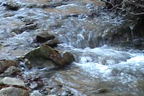 Stones of the mountain river Stock-Footage 585546