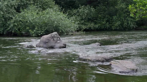 Stones in the mountains stream Stock Footage 53545703