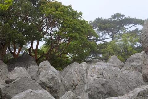Stones on mountaunside 스톡 사진