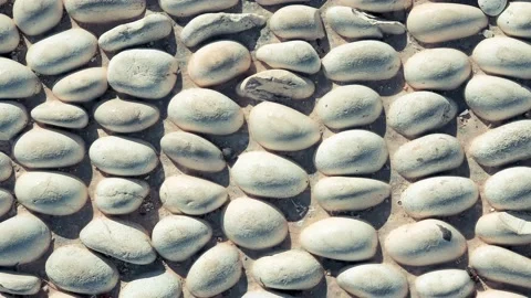 Stones pattern background seamless loop. Lot of white masonry cladding pebb.. Video stock 225554236
