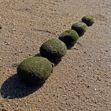Stones Stock Photos