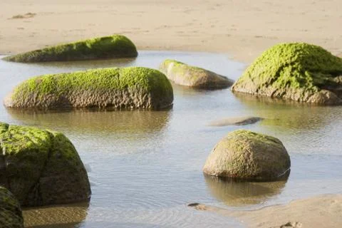 Stones Stock Photos