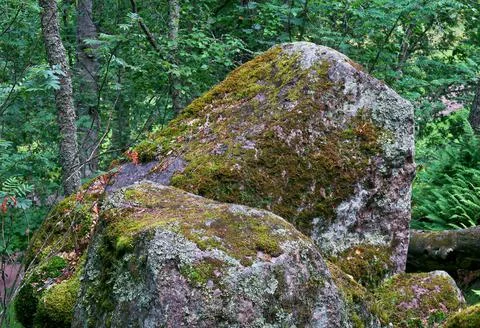 Stones Stock Photos