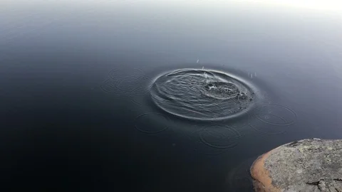 Stones producing circle ripples in still water lake -  Abstract Stock Footage