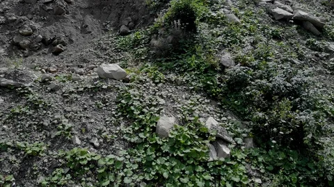 Stones at quarry close up. Stock Footage 123130362