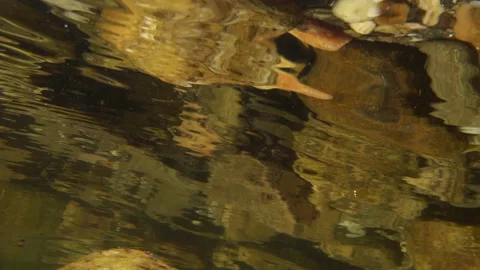 Stones reflected from the river bottom Stock Footage 143776880