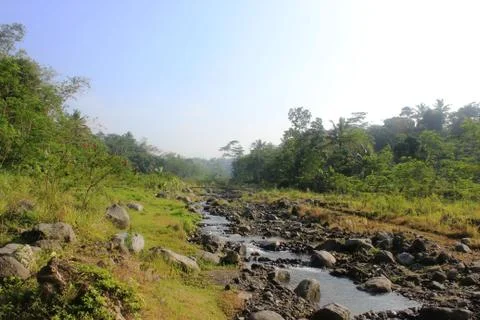 Stones in a River Photos