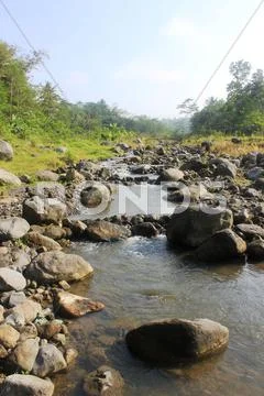 Stones in a River Stock Photos