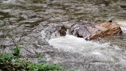 Stones in the river Stock Photos