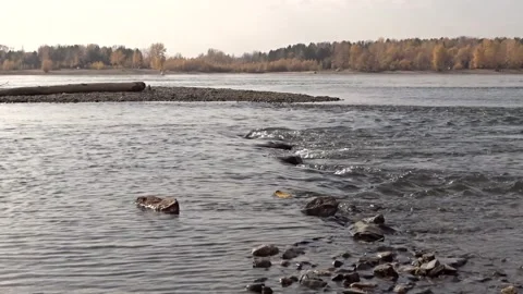 Stones in the river, river rolling Stock Footage 255115006