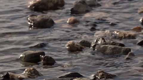Stones in the river, river rolling Stock Footage 255115019