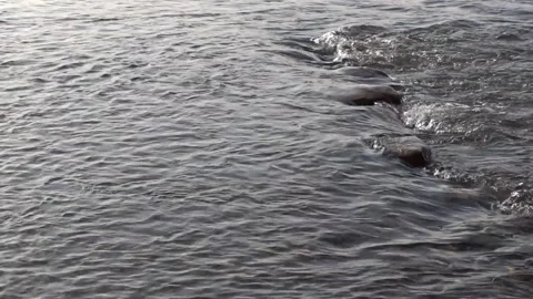 Stones in the river, river rolling Stock Footage 255115031