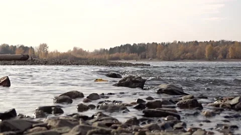 Stones in the river, river rolling Stock Footage 255115033