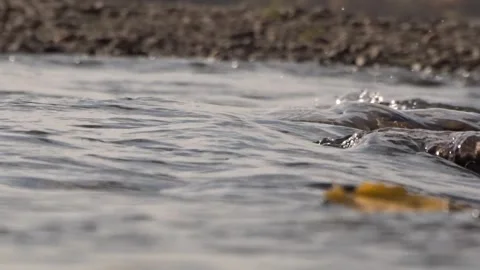 Stones in the river, river rolling Stock Footage 255115063