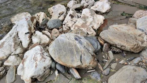 Stones on river side Photos