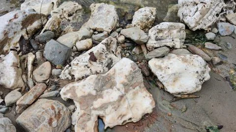 Stones on river side Stock Photos