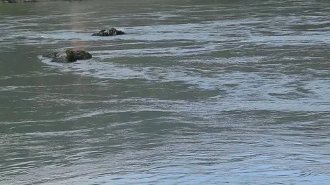 The stones in the river with a strong current Video stock 71547446