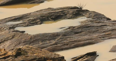 Stones in Rough River Waterfall Stock Footage 290058423