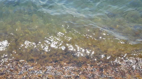 Stones in the sea with algae. Stock Footage 112619673