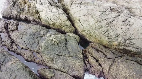 Stones at the sea Stock Footage 169475231