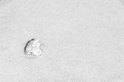 Stones shells corals on beach sand Playa del Carmen Mexico. Photos