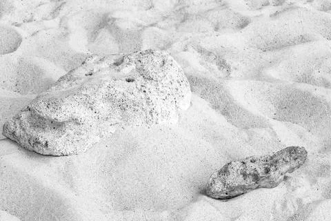 Stones shells corals on beach sand Playa del Carmen Mexico. Photos