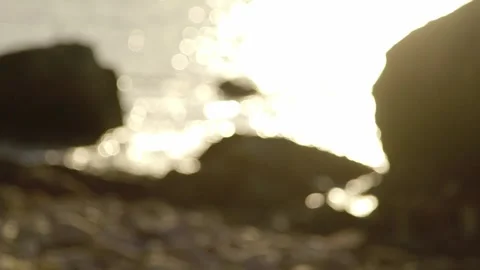 Stones at the shoreline, sunset Stock Footage 295919338