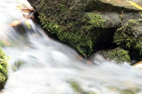 Stones in the stream Stock Photos