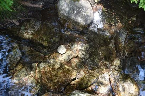 Stones in stream Stock Photos