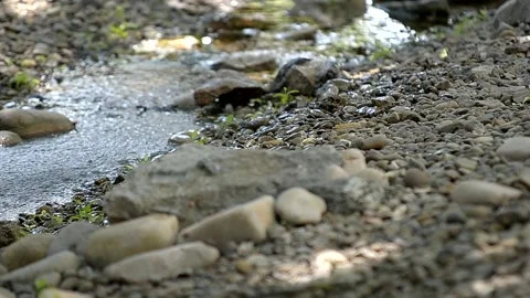 Stones in the stream on a summer day Stock Footage 221274639