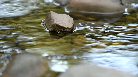 Stones in the stream on a summer day Stock Footage 221274641