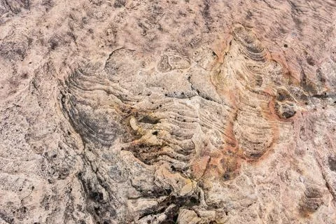 Stones texture for background or backdrop Stock Photos