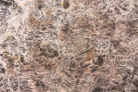 Stones texture for background or backdrop Stock Photos
