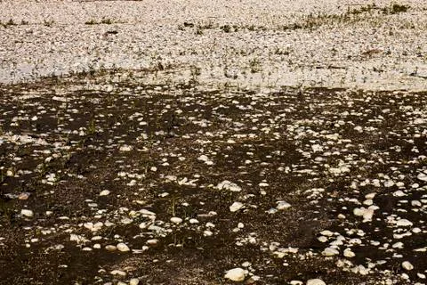 Stones texture Stock Photos