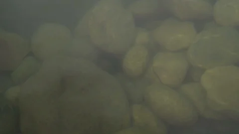 The stones through the water Stock Footage 97652128