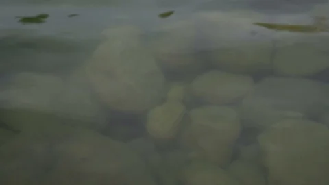 The stones through the water Stock Footage 97652136