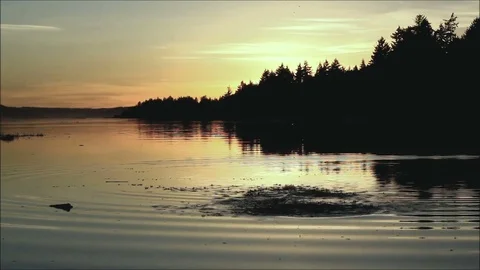 Stones thrown in sunset waters Stock Footage 78182463