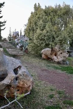 Stones trees pathway Foto stock