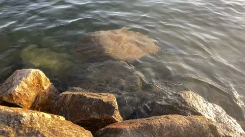 Stones in the water Stock Footage