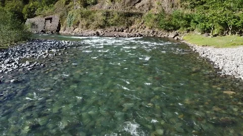 Stones in water Stock Footage 253368601