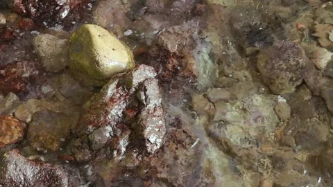 Stones in the water Stock Footage 256315436