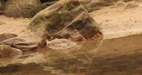 Stones in the water Vidéo 335585878