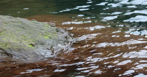 Stones in the water Stock Footage 335589046
