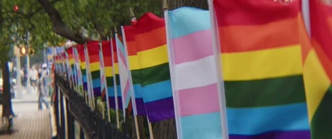 Stonewall Park NYC Pride Flags Stabilized Video stock 244170784