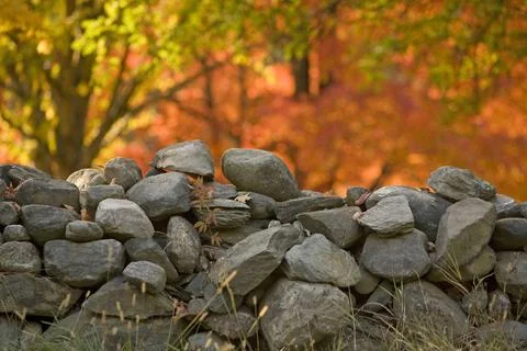 Stonewall Stock Photos