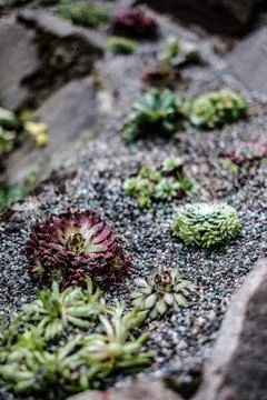 Stoneway Stock Photos