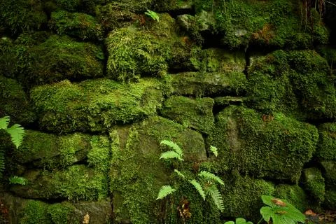 Stonework. Moss-covered ancient masonry Stock Photos