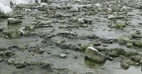 Stoney Alpine river in a cloudy winter day Stock-Footage 231732159