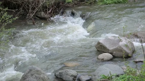 Stons in the river Stock Footage 317951414